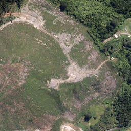Satellite imagery of Tapaniau Point, NZ