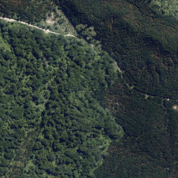 Satellite imagery of Okopua Point, NZ