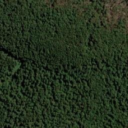 Satellite imagery of Cerro La Bandurria, CL