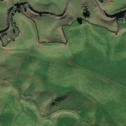 Satellite imagery of B NO 2, NZ
