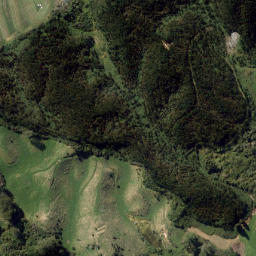 Satellite imagery of Awahou Point, NZ