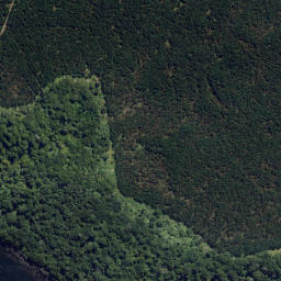 Satellite imagery of Hikataua Point, NZ