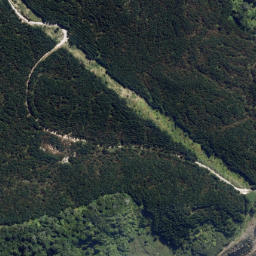 Satellite imagery of Hikataua Point, NZ