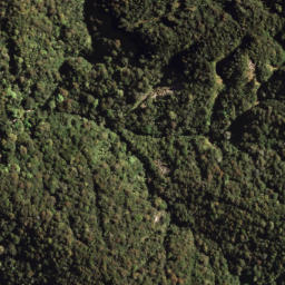 Satellite imagery of 1316 MAUNGAWARU, NZ