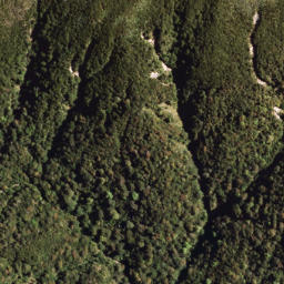 Satellite imagery of 1316 MAUNGAWARU, NZ