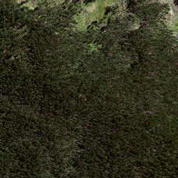 Satellite imagery of 186 WAHINGAMUKU, NZ