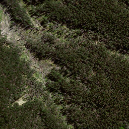 Satellite imagery of 186 WAHINGAMUKU, NZ