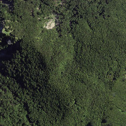 Satellite imagery of P16 MAUNGAROA, NZ