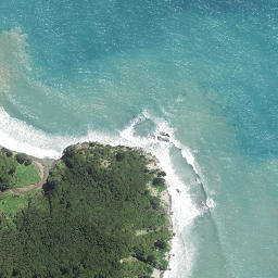 Satellite imagery of Koutunui Head, NZ