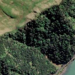 Satellite imagery of Puti Point, NZ