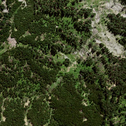 Satellite imagery of 8022, NZ