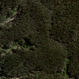 Satellite imagery of 186 WAHINGAMUKU, NZ