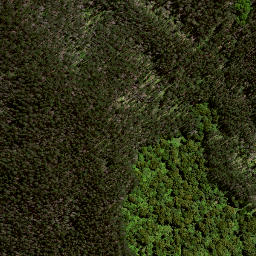 Satellite imagery of 186 WAHINGAMUKU, NZ