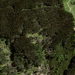 Satellite imagery of 186 WAHINGAMUKU, NZ