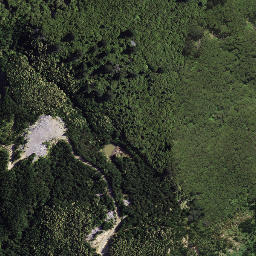 Satellite imagery of P16 MAUNGAROA, NZ