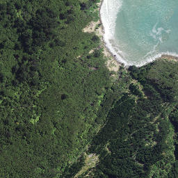 Satellite imagery of Koutunui Head, NZ
