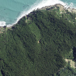 Satellite imagery of Koutunui Head, NZ