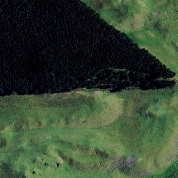 Satellite imagery of Te Puru Point, NZ