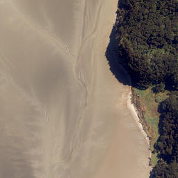 Satellite imagery of Motutarakuao Point, NZ