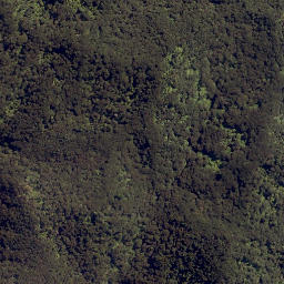 Satellite imagery of Motutarakuao Point, NZ