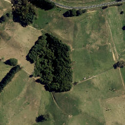Satellite imagery of Ongaru, NZ