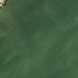 Satellite imagery of Awahou Point, NZ