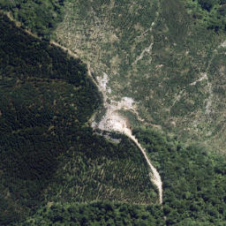 Satellite imagery of Hikataua Point, NZ
