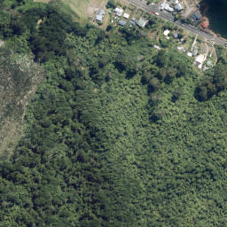 Satellite imagery of Hikataua Point, NZ
