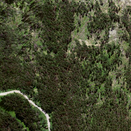 Satellite imagery of 8024, NZ