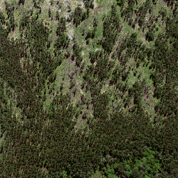 Satellite imagery of 8024, NZ
