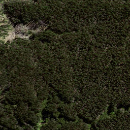Satellite imagery of 186 WAHINGAMUKU, NZ