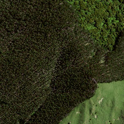 Satellite imagery of 186 WAHINGAMUKU, NZ