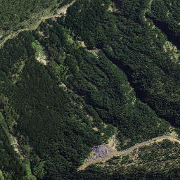 Satellite imagery of Koutunui Head, NZ