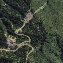 Satellite imagery of Koutunui Head, NZ