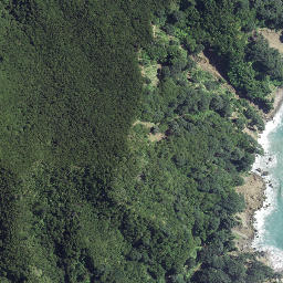 Satellite imagery of Koutunui Head, NZ