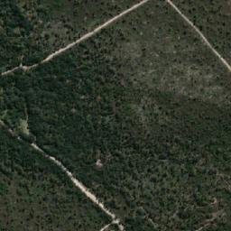 Satellite imagery of Waverley Point, AU