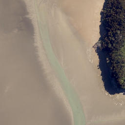Satellite imagery of Motutarakuao Point, NZ