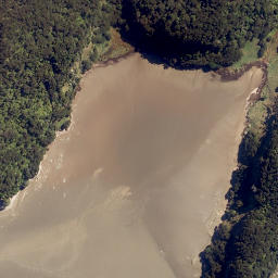 Satellite imagery of Motutarakuao Point, NZ