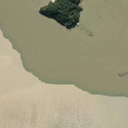 Satellite imagery of Motukotuku Point, NZ