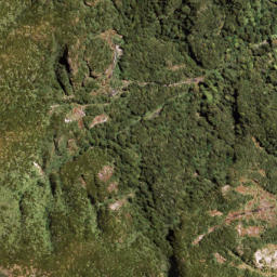 Satellite imagery of MANGAOTANE, NZ