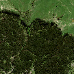 Satellite imagery of 8022, NZ