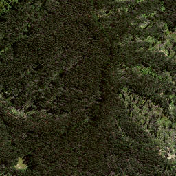 Satellite imagery of 8024, NZ