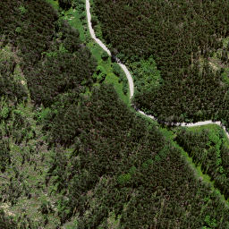 Satellite imagery of 8024, NZ