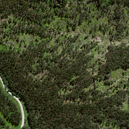 Satellite imagery of 8024, NZ