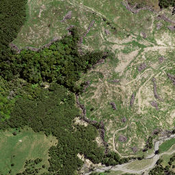 Satellite imagery of TE PUIA, NZ