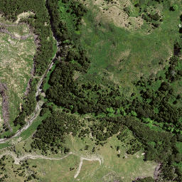 Satellite imagery of TE PUIA, NZ