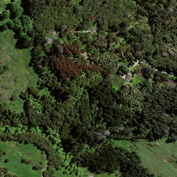 Satellite imagery of TE PUIA, NZ