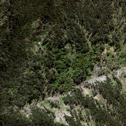 Satellite imagery of 8024, NZ