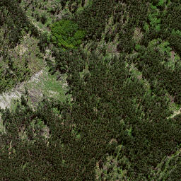 Satellite imagery of 8024, NZ