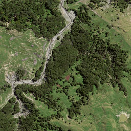 Satellite imagery of TE PUIA, NZ
